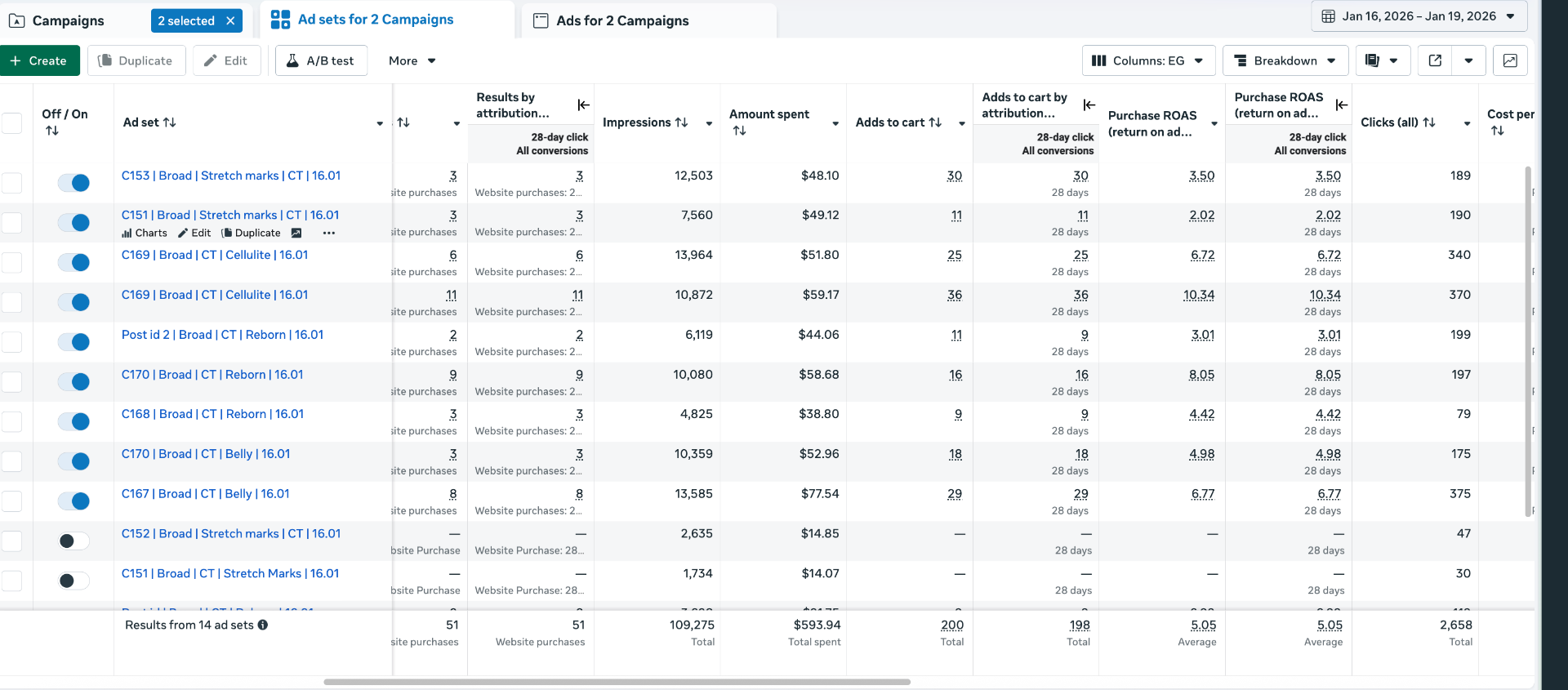 Ad set level breakdown with ROAS per creative angle